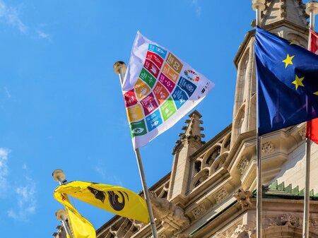 SDG-vlag wappert in 110 Vlaamse gemeenten