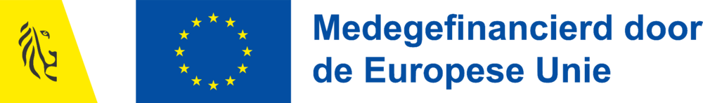 Combinatielogo Vlaams embleem en Europees embleem
