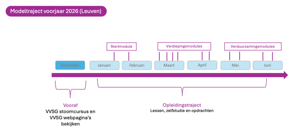 Schema modeltraject modulair prof traject in leuven in het voorjaar