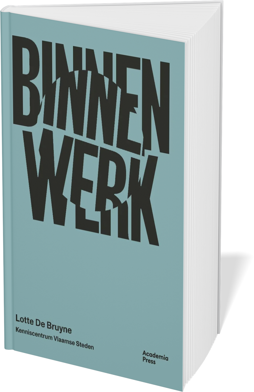Mock up boek Binnenwerk Kenniscentrum Vlaamse Steden