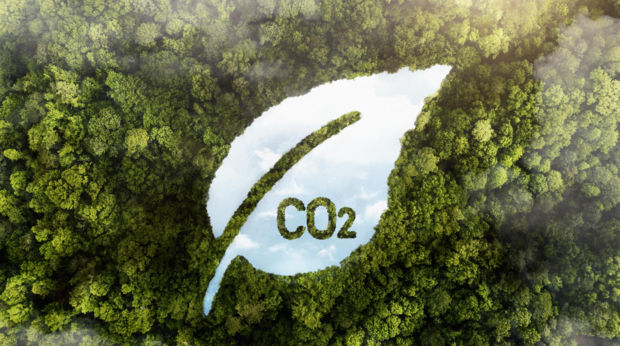CO2 in een blaadje van lucht in een bos