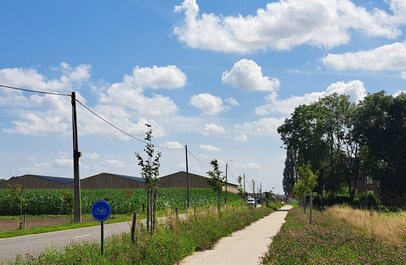 Fietspad met groene berm