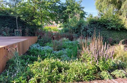 Afbeelding van de tuin
