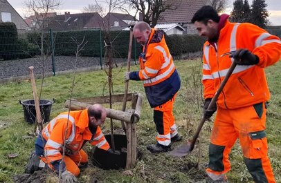 Mannen met oranje fluo pakken die een boom planten.