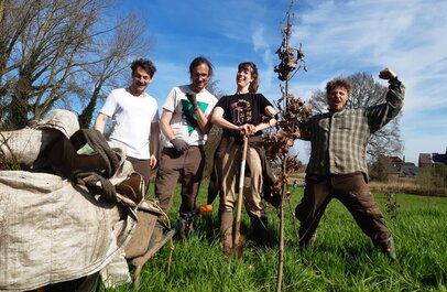 Aanplanting van boom