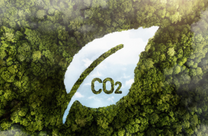 CO2 in een blaadje van lucht in een bos