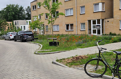 Foto bloemrijke wadi als voortuinen
