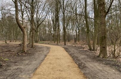 weg in bos