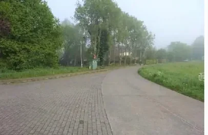 Bomen aan verhard kruispunt Senthout Duffel