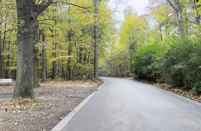 Weg langs het Kluisbos