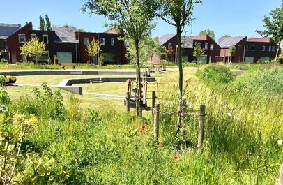 Park Maaike Kerrebroeck met bomen, gras en huizen op de achtergrond.