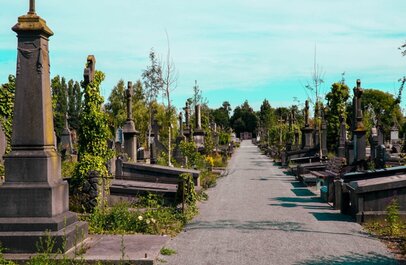 foto van pad op de begraafplaats met zerken in groene omgevingg