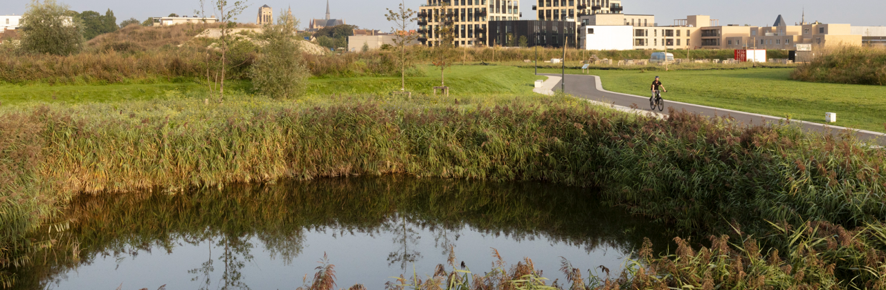 Afbeelding van het Suikerpark
