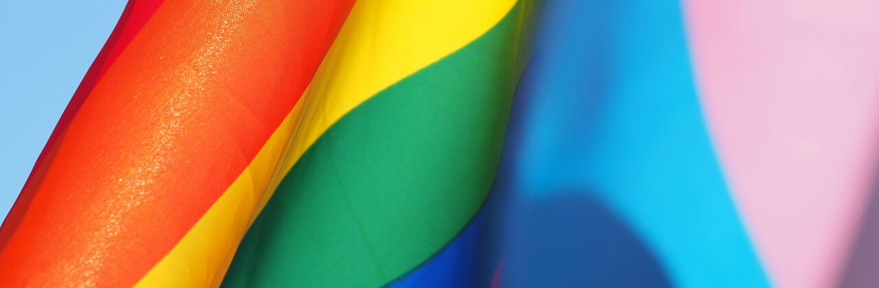Regenboogvlag