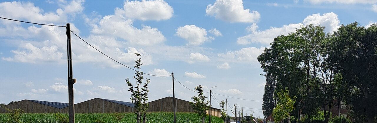 Fietspad met groene berm