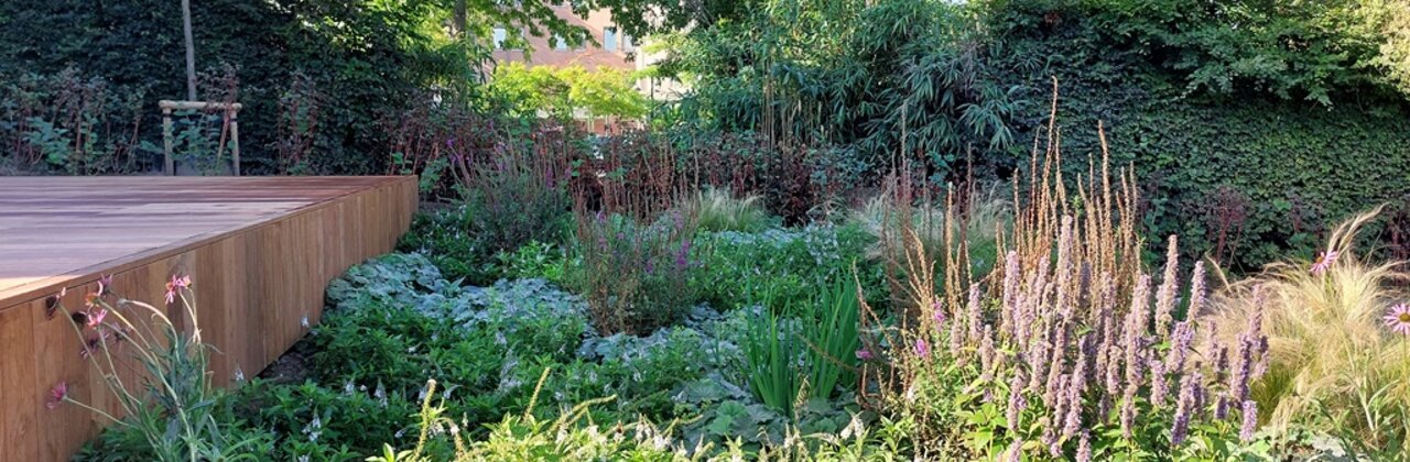 Afbeelding van de tuin