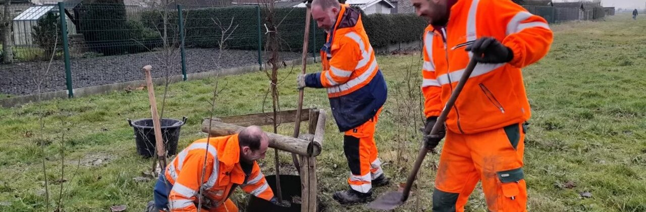 Mannen met oranje fluo pakken die een boom planten.