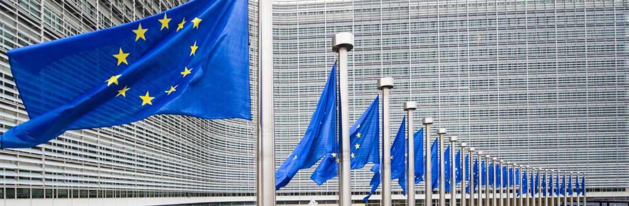 Europese vlaggen
