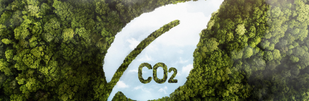 CO2 in een blaadje van lucht in een bos