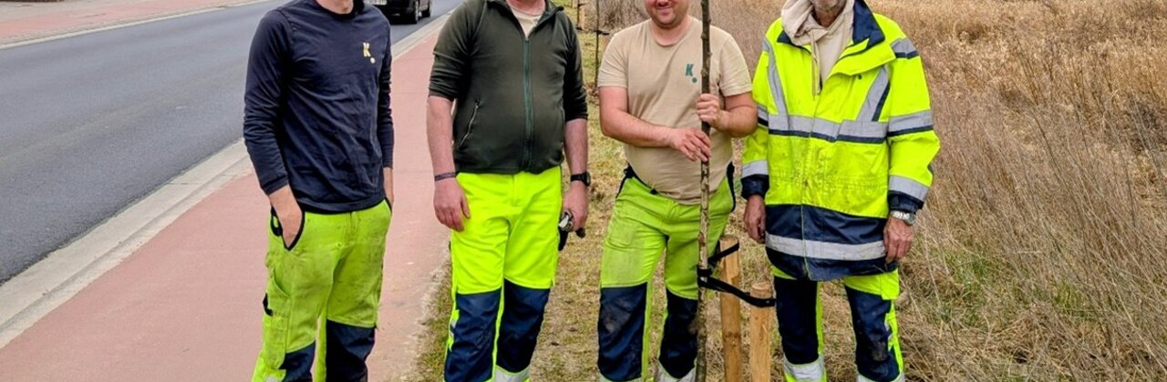 enkele gemeentearbeiders poseren bij aanplant van een houtkant