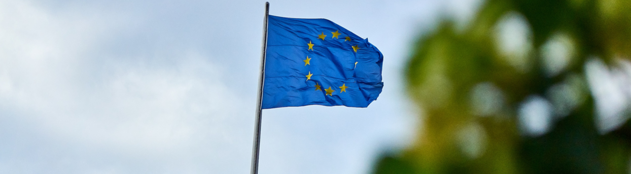 Europese vlag