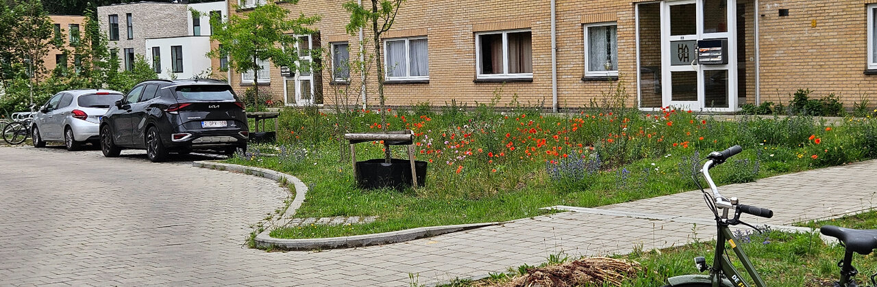 Foto bloemrijke wadi als voortuinen