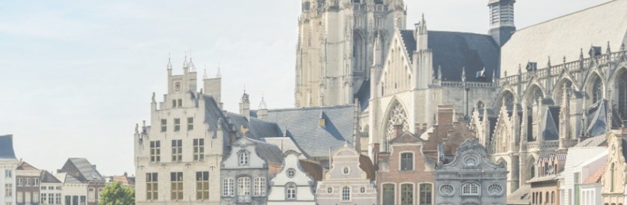 Zicht op skyline stad Mechelen