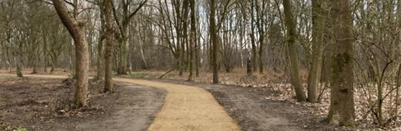 weg in bos