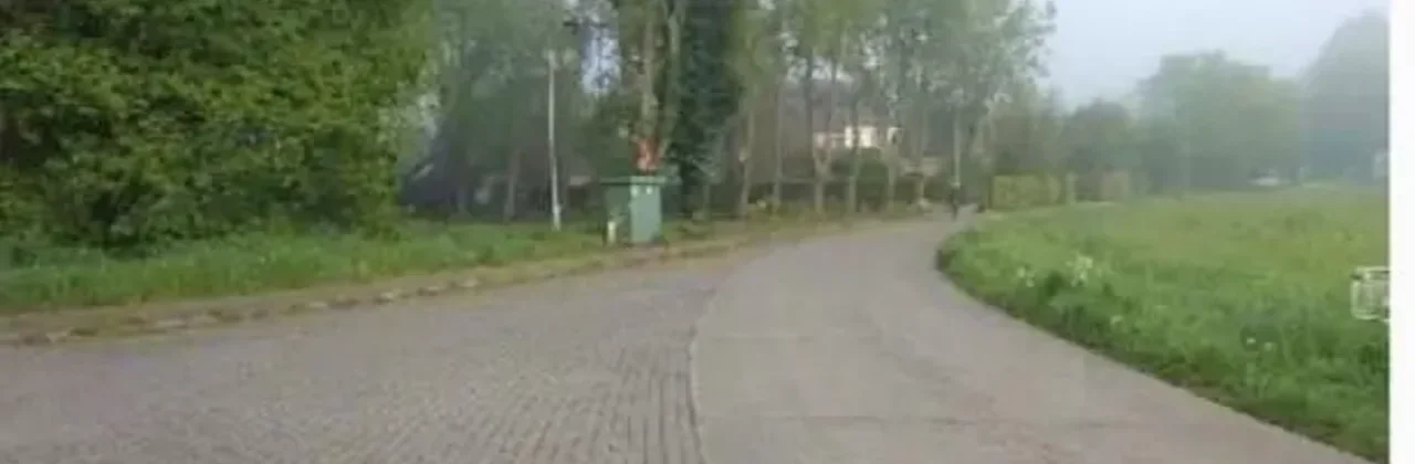 Bomen aan verhard kruispunt Senthout Duffel