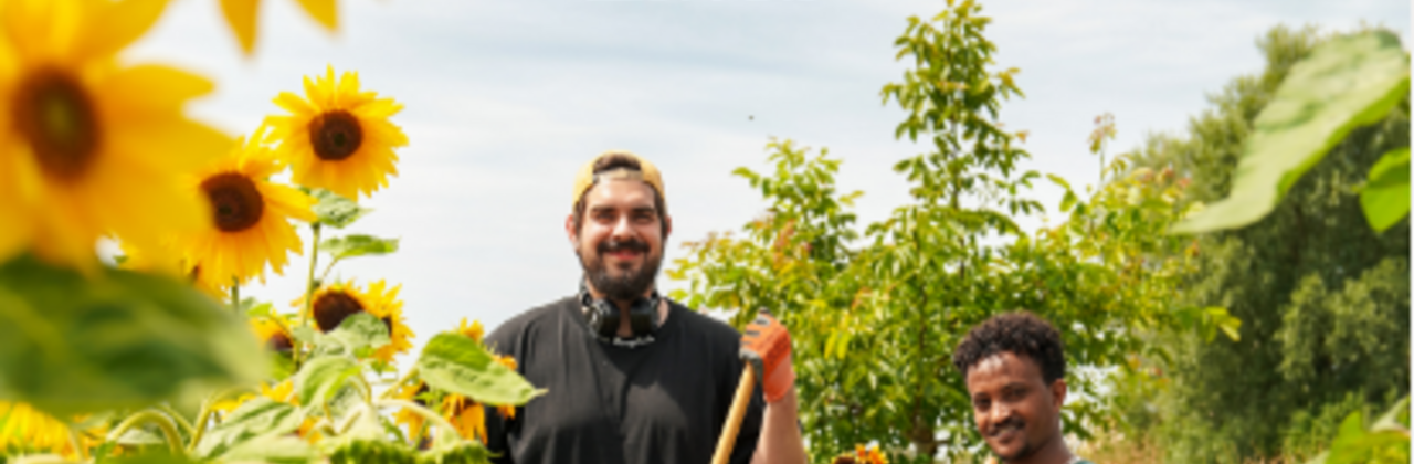 2 mannen tussen de zonnebloemen