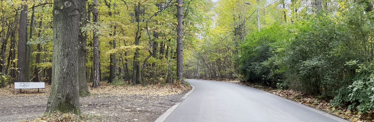 Weg langs het Kluisbos