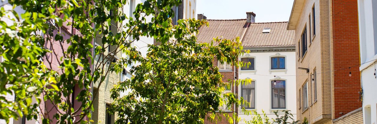 foto van straat met beplantingen