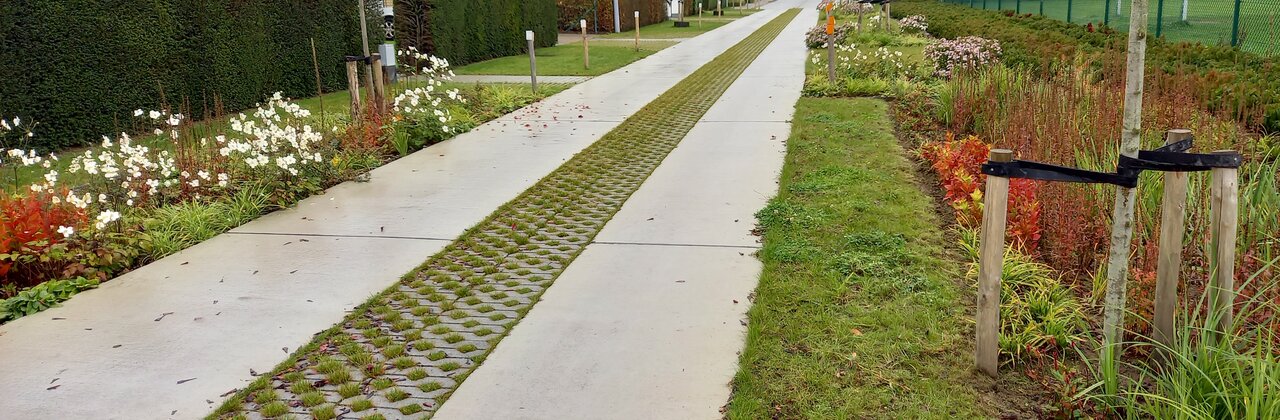 Afbeelding van de heraanleg met een verharde weg omringd door weelderig groen langs en tussen de paden.