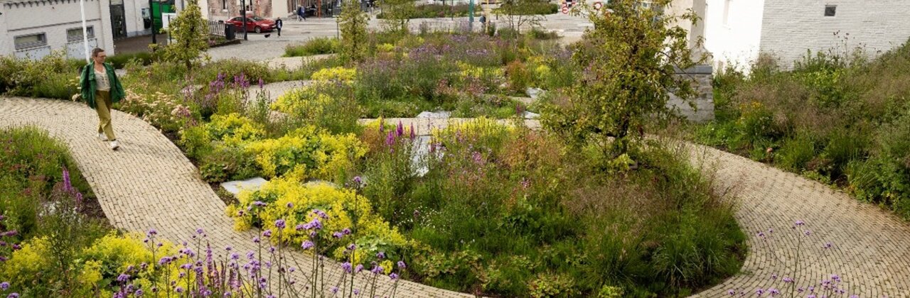 heraangelegd marktplein met groenaanplantingen en wandelpad
