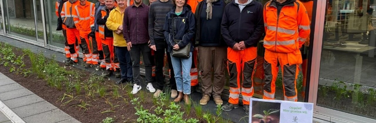 Ontharding omgeving gemeentehuis