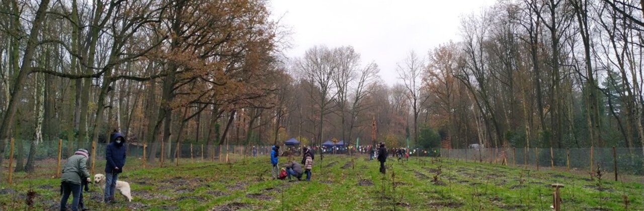 Fot van een groene plek waar mensen bomen planten.