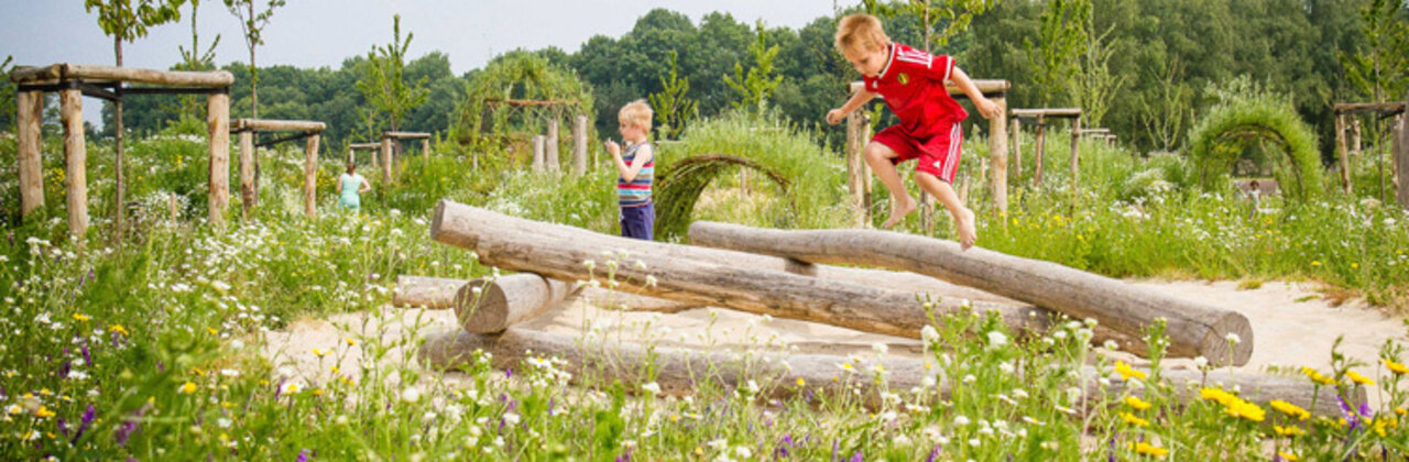 foto van natuurlijk aangelegd park
