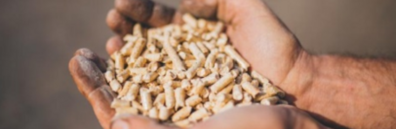 2 handen vol houtpellets