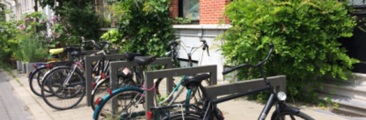 groenaanplantingen voor gevels