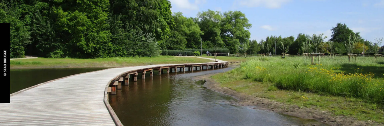 Loopbrug op water in het Steevens Park.