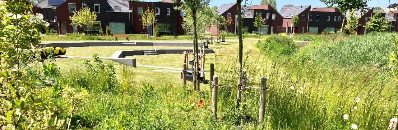 Park Maaike Kerrebroeck met bomen, gras en huizen op de achtergrond.