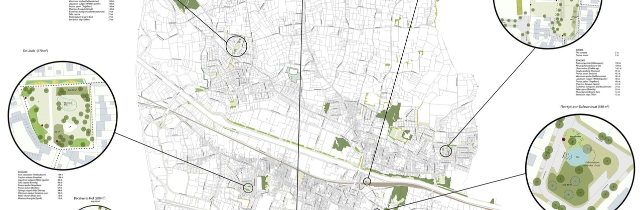 Visualisatie groenvisie