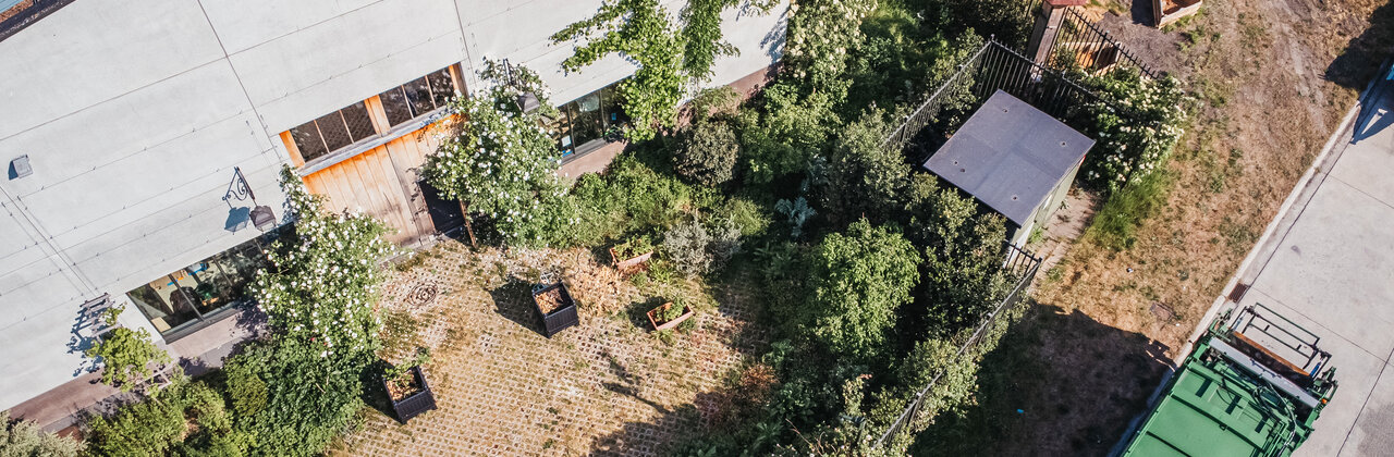 Binnentuin op een koer