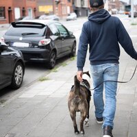 Dak- en thuisloosheid