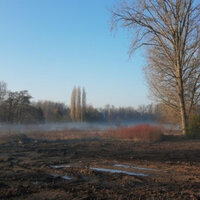 Braakliggend veld Mitterlije in Edegem. 