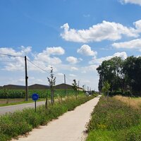 Fietspad met groene berm