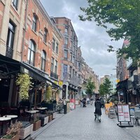 foto van dichtbebouwde straat met bomen
