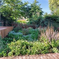 Afbeelding van de tuin