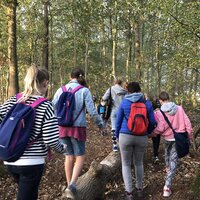 Boomstammen in het park en kindjes