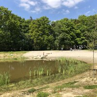 Vijver in het Torwoud